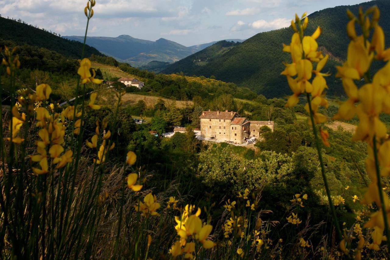 Country House Villa La Farfalla Pietralunga  Exterior photo